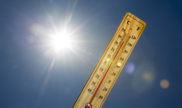 Braving the summer heat: Phytogenic substances for heat stabilisation